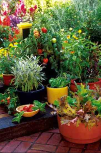 best soil for container garden