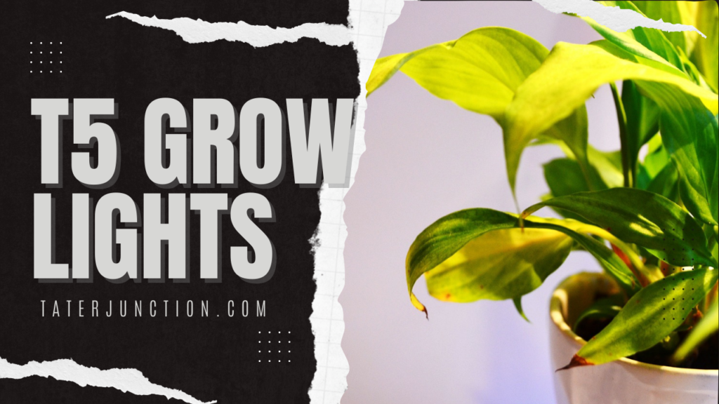 grow lights t5